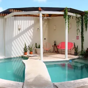 *** Bed & Breakfast Pecari Mexiko